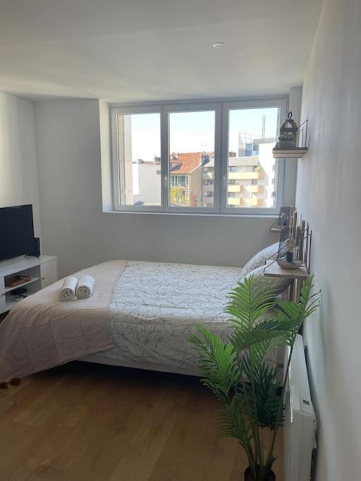Studio Cosy Rue Alexander Taylor, Wifi, 2 Pers Pau Exteriér fotografie