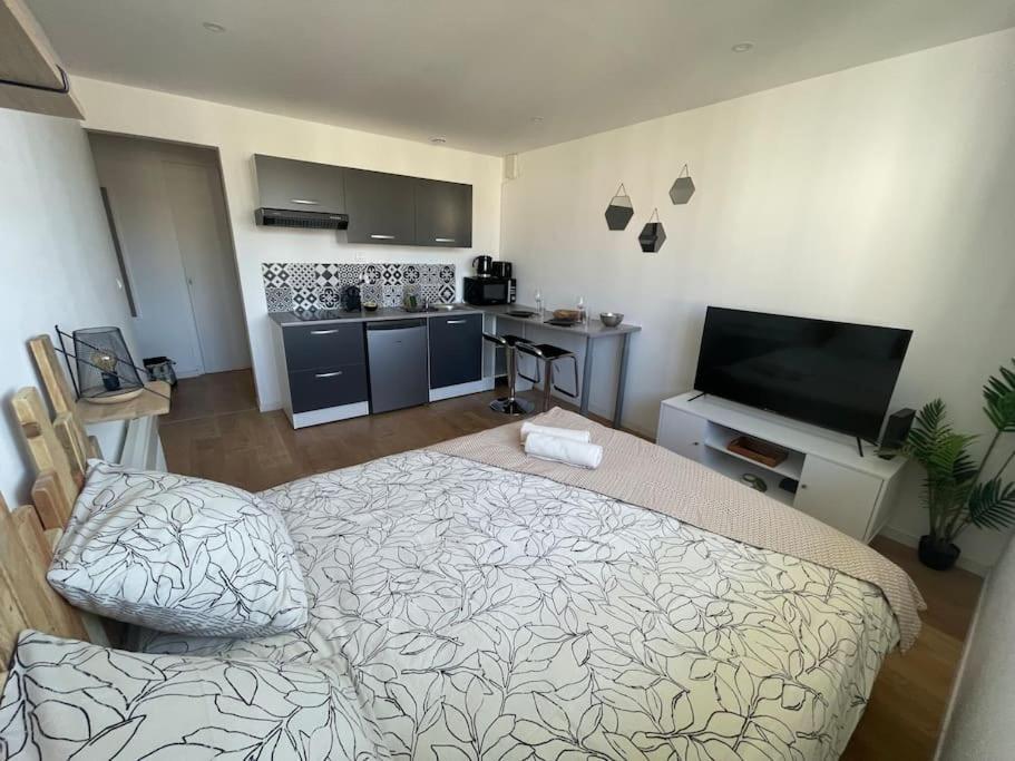 Studio Cosy Rue Alexander Taylor, Wifi, 2 Pers Pau Exteriér fotografie